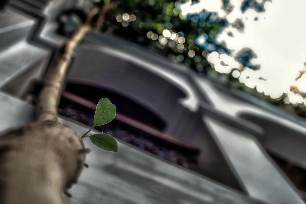 Dar Baibou Bed & Breakfast เชฟชาอูน ภายนอก รูปภาพ